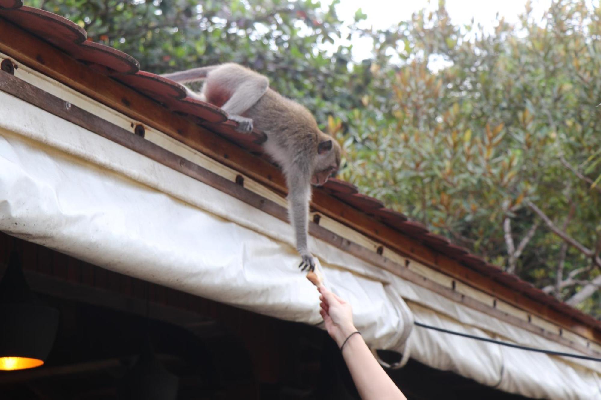 Tree House Bungalows Kaoh Touch Екстериор снимка